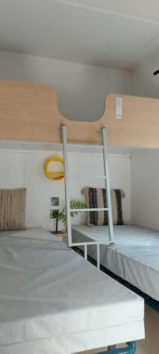 two bunk beds in a room with at Chalet type F in Voorthuizen