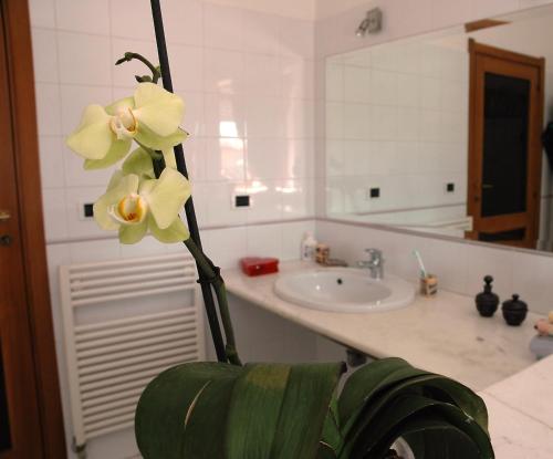 Koupelna v ubytování Liana Guest House