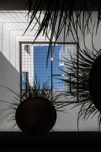 Cbmona Suites – Photos 2