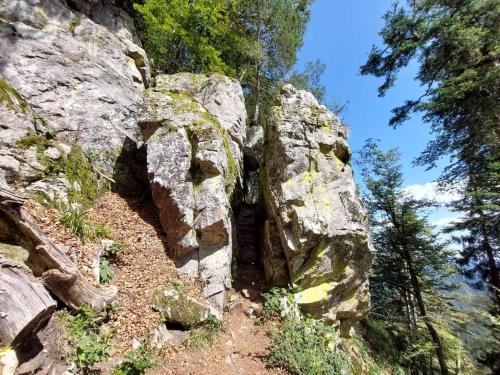 a rocky mountain with trees on the side of it at gîte de rarounette au cœur des Vosges in Celles-sur-Plaine