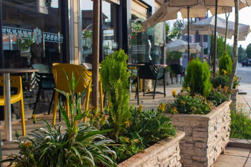 a group of plants in front of a restaurant at Hôtel La Chambotte in Imouzzer du Kandar