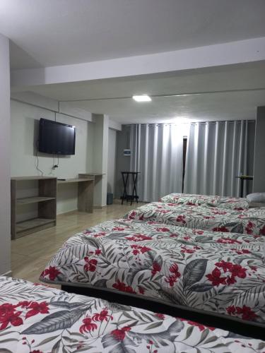a bedroom with two beds and a flat screen tv at Aquariu's Pousada e Restaurante in Cêrro Negro