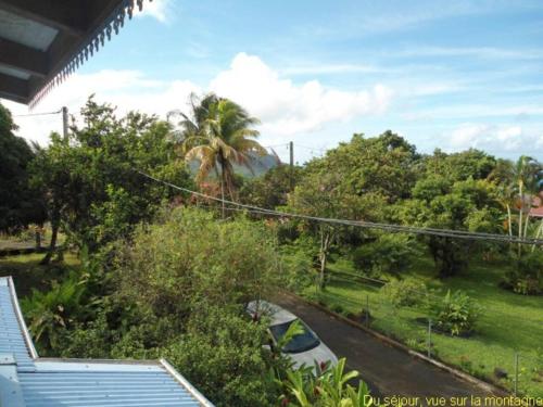 Zahrada ubytování Appartement "Au Cœur du Parc Tropical"