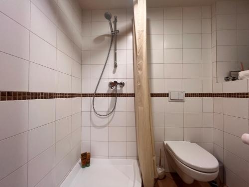 y baño con ducha y aseo. en Apartaments in the city centre en Kaunas
