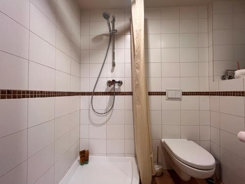 a bathroom with a shower and a toilet at Apartaments in the city centre in Kaunas