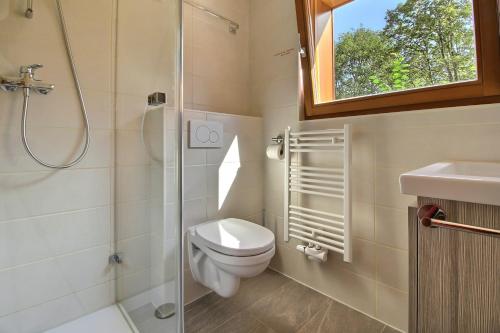 ein Bad mit einem WC, einer Dusche und einem Waschbecken in der Unterkunft Cable Car 1min Walk, Fully Renovated In 2017 in Champéry
