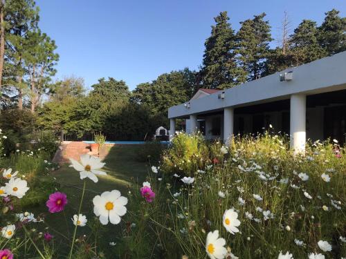 Campo Las Marias – Photos 4