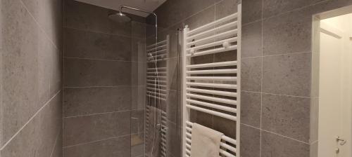 Koupelna v ubytování Centrum luxe appartement Ost 2 plus 2