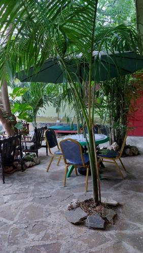 a palm tree in a patio with chairs and an umbrella at Amarrosi Buffalo-One Bedroom apartment, Mtwapa in Mtwapa