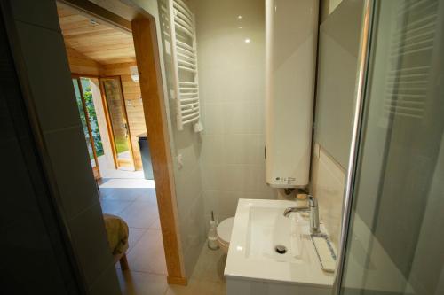 y baño con lavabo y espejo. en Cabane forêt proche plage en Pyla-sur-Mer