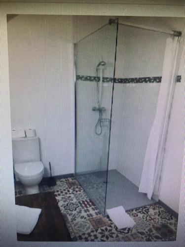 a bathroom with a shower and a toilet at la grange du parc in Sancoins