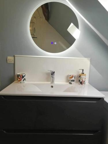 une salle de bain avec un lavabo et un miroir dans l'établissement appartement duplex, à Beaune-la-Rolande