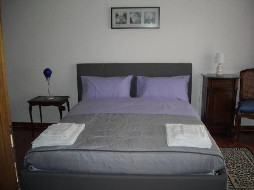 a bedroom with a large bed with purple pillows at Chez moi in Colleverde