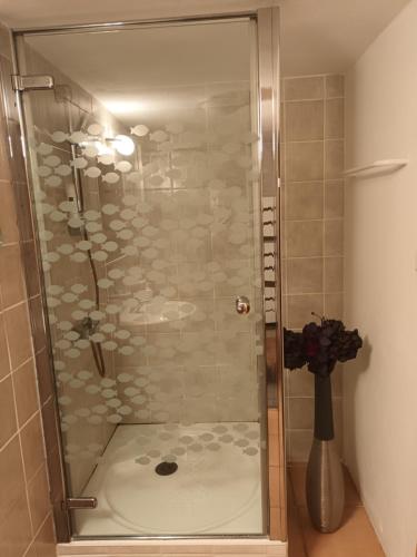 a shower with a glass door in a bathroom at Le couvent côté jardin in Rocles