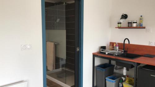 a bathroom with a sink and a glass shower at Studio 35m2 in Fougères