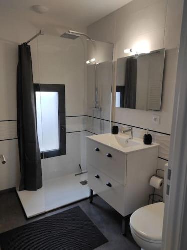 une salle de bain avec un lavabo, des toilettes et un miroir dans l'établissement Escapade Périgourdine, à Trélissac