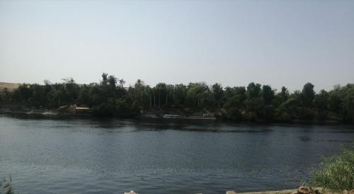 a river with trees on the side of it at Nubian Bride guest house in Aswan