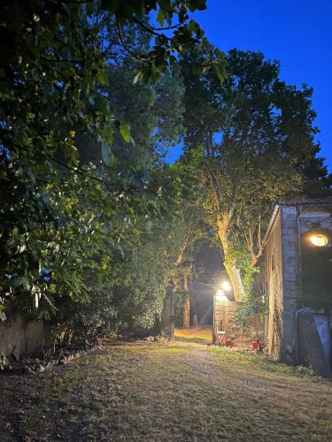 a night view of a tree and a shed at SCI Domaine Saint Martin le grand in Béziers