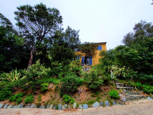 a house on top of a hill with trees at Les Gîtes du Cap Corse in Nonza