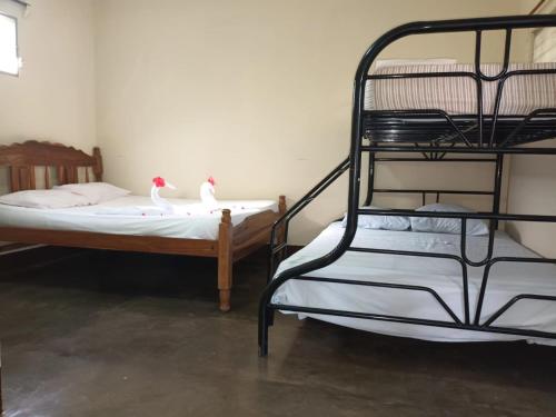 a room with two bunk beds and a chair at Hospedaje y Restaurante la cocina de Mami in Moyogalpa