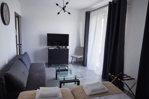 - un salon avec un canapé et une télévision dans l'établissement Apartament Carolina, à Rzeszów