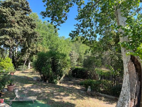 a park with a bench and trees and grass at SCI Domaine Saint Martin le grand in Béziers
