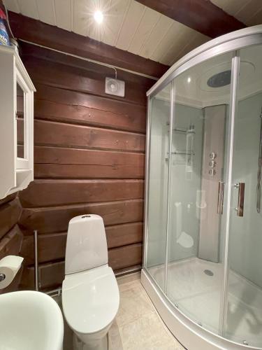 uma casa de banho com um WC e uma cabina de duche em vidro. em Mysig timmerstuga med utsikt över Tandådalens anläggningar em Sälen