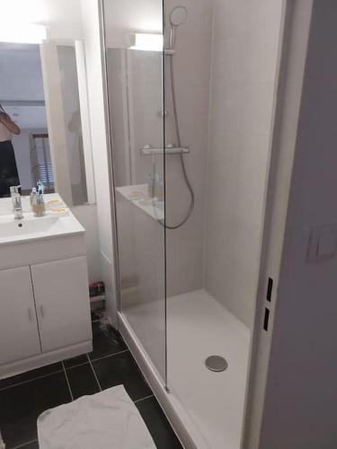 bagno con doccia e porta in vetro di Charmant Duplex aux Minimes a Tolosa