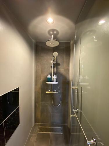 a bathroom with a shower with a glass door at 日月庵 BnB Sunmoon in Kanazawa