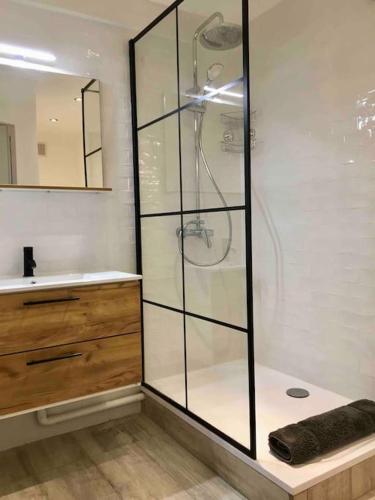 une douche en verre dans une salle de bain avec un lavabo dans l'établissement Charmant havre de paix à la campagne, à Jouarre