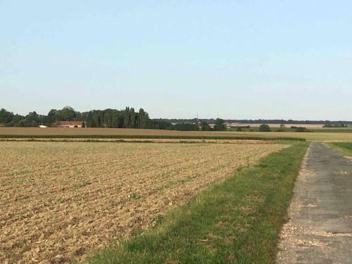 a field with a dirt road in the middle at Charmant havre de paix à la campagne in Jouarre