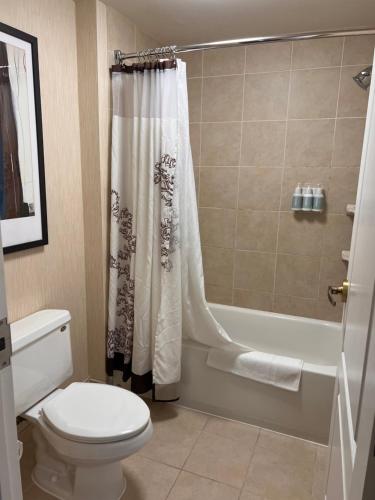 a bathroom with a toilet and a shower curtain at Queen bed available in Mississauga