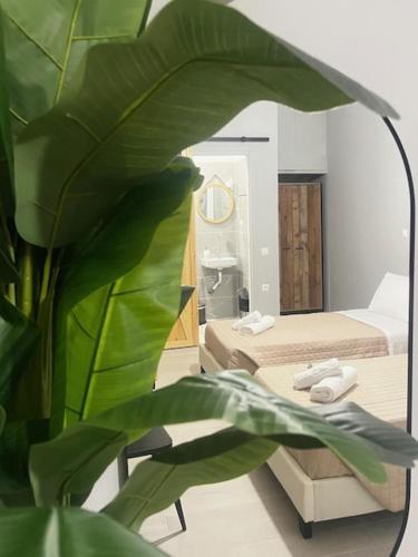 a bedroom with a bed and a large green plant at LA COSTA DI SAN GIORGIO in Agios Georgios