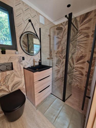 een badkamer met een douche, een wastafel en een spiegel bij The Pool house in La Farlède