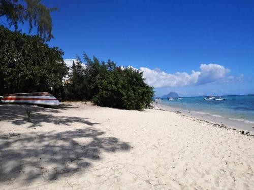 My lîl Place rental unit in a beach facing complex