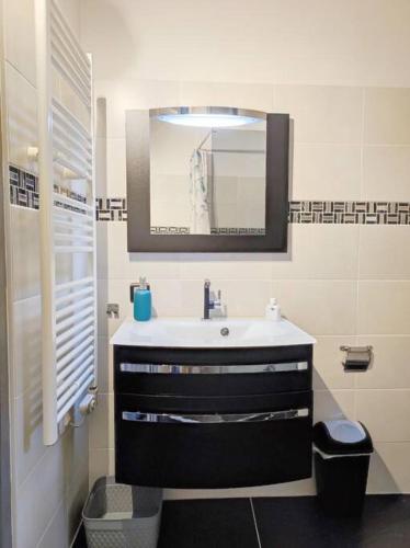 une salle de bain avec un lavabo et un miroir dans l'établissement Le Camarguais, à Saint-Gilles