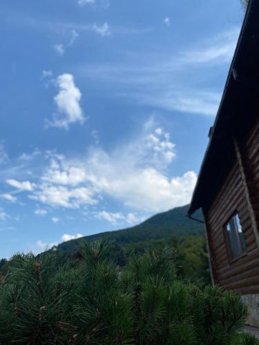 Afbeelding uit fotogalerij van Садиба Краєвських in Krapivnik