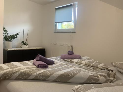 Postel nebo postele na pokoji v ubytování Apartment Teja