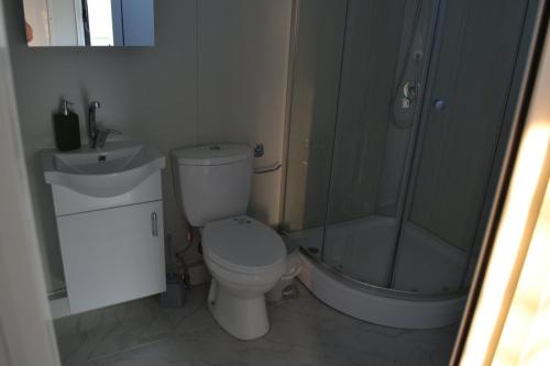 a bathroom with a shower and a toilet and a sink at Oneiropagida House in Sarti
