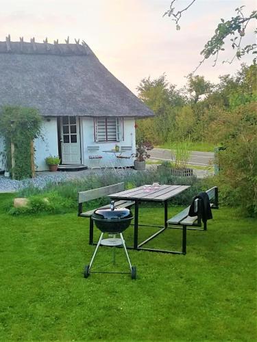 Aed väljaspool majutusasutust Tæt På Langesø Garden Studio near Odense