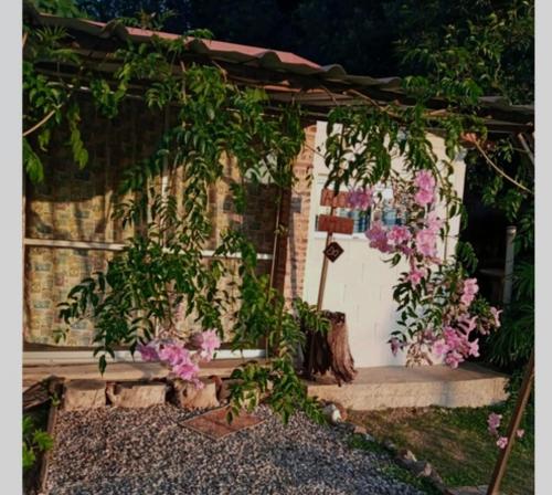 a garden with a pergola and pink flowers at Amor amor in San Luis