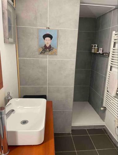 une salle de bain avec un lavabo et une douche dans l'établissement Loft sur saône, à Lyon