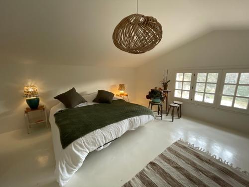 VeauxにあるCabanon Aloé avec piscine chauffée & bain nordiqueのベッドルーム1室(ベッド1台、緑の毛布付)