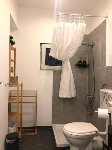 a bathroom with a toilet and a shower with a curtain at Grüne Oase mit Balkon I EG in Duisburg