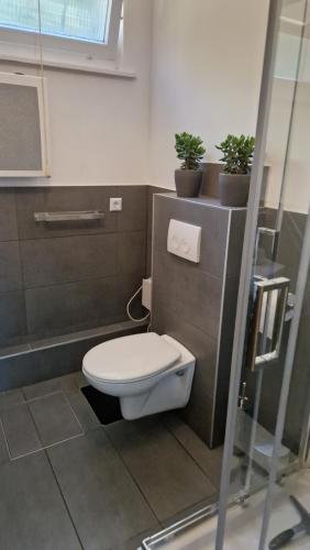 a bathroom with a toilet and plants on the wall at Ferienwohnung Naturini in Freiburg im Breisgau