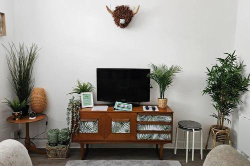 a tv sitting on top of a wooden cabinet with plants at The Ferns - Shared Garden Apartment With Parking in Darvel