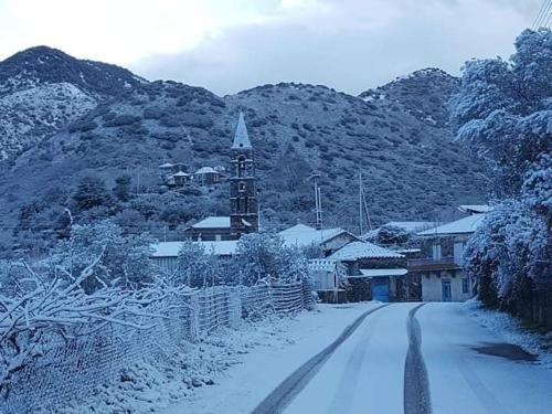 Mani Milea Mountain Home durante o inverno