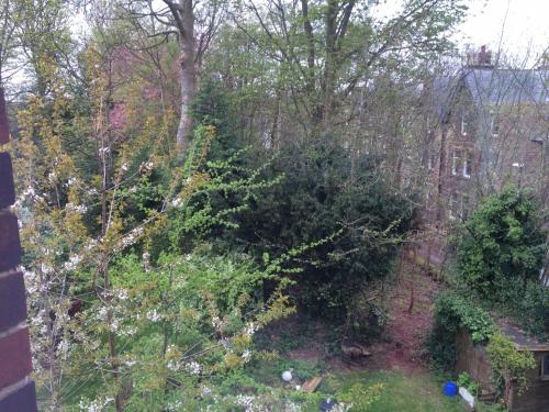 uma vista para um jardim com árvores e um edifício em Large Room in share house em Meanwood