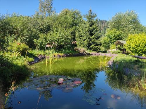 a pond with lily pads on the water at Апартаменти "У Кузьмича" 2 in Mykulychyn