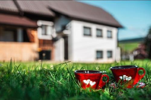 dos tazas rojas en el césped delante de una casa en Holiday House with Sauna, en Východná